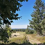 Kota Finlandais Dans La Vallee De La Bruche Proche De La Nature. *