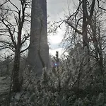 Kota Finlandais Dans La Vallee De La Bruche Proche De La Nature. * Plaine