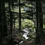 Kota Finlandais Dans La Vallee De La Bruche Proche De La Nature. Alpesi faház *