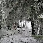 Kota Finlandais Dans La Vallee De La Bruche Proche De La Nature. Plaine
