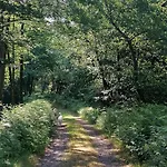 Kota Finlandais Dans La Vallee De La Bruche Proche De La Nature. Plaine