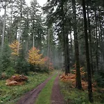 Alpesi faház Kota Finlandais Dans La Vallee De La Bruche Proche De La Nature. *