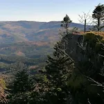 Alpesi faház Kota Finlandais Dans La Vallee De La Bruche Proche De La Nature. *