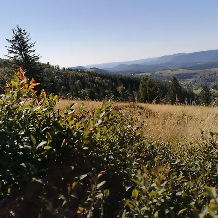 Kota Finlandais Dans La Vallee De La Bruche Proche De La Nature. Dağ evi