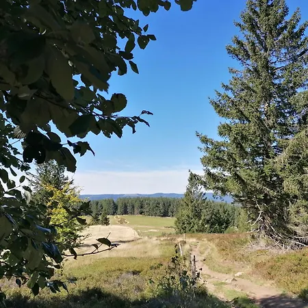 Kota Finlandais Dans La Vallee De La Bruche Proche De La Nature. *