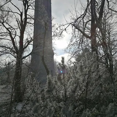 Kota Finlandais Dans La Vallée De La Bruche Proche De La Nature. * Plaine
