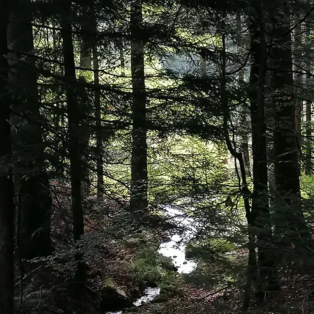 Kota Finlandais Dans La Vallée De La Bruche Proche De La Nature. Chalet *