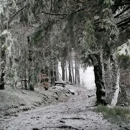 Kota Finlandais Dans La Vallée De La Bruche Proche De La Nature. Plaine