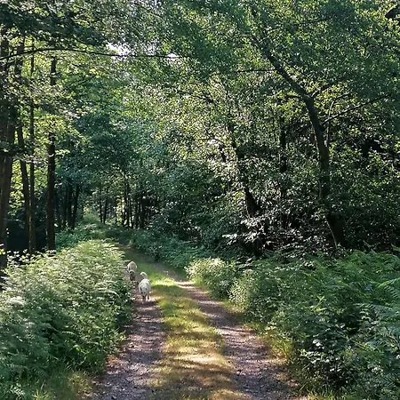 Kota Finlandais Dans La Vallée De La Bruche Proche De La Nature. Plaine