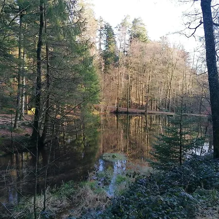Kota Finlandais Dans La Vallée De La Bruche Proche De La Nature. Chalet