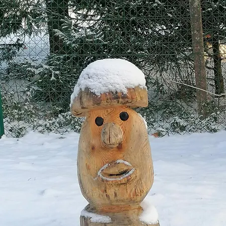 Kota Finlandais Dans La Vallée De La Bruche Proche De La Nature. Plaine