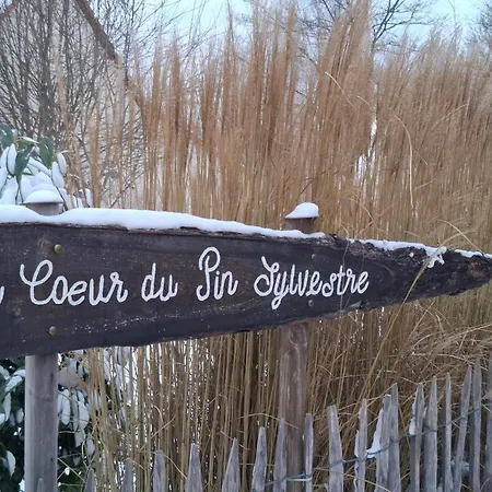 Kota Finlandais Dans La Vallee De La Bruche Proche De La Nature. * Plaine