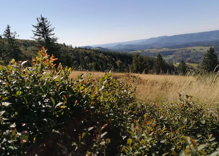 Kota Finlandais Dans La Vallee De La Bruche Proche De La Nature. Horská chata