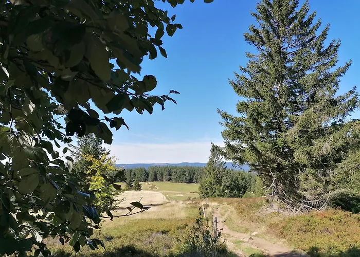 Kota Finlandais Dans La Vallee De La Bruche Proche De La Nature. *