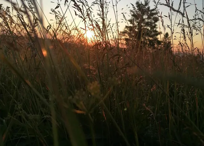 Horská chata Kota Finlandais Dans La Vallee De La Bruche Proche De La Nature. Plaine