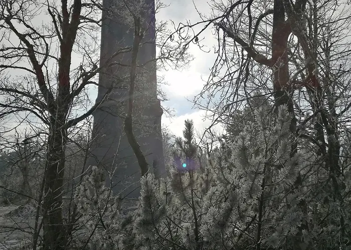 Kota Finlandais Dans La Vallee De La Bruche Proche De La Nature. * Plaine