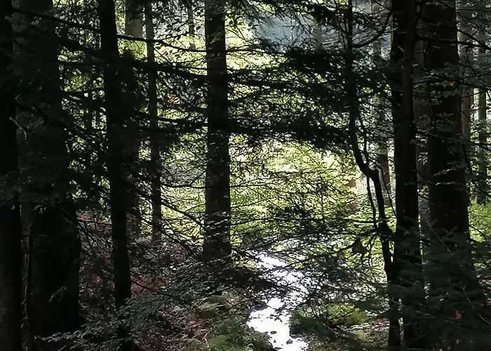 Kota Finlandais Dans La Vallee De La Bruche Proche De La Nature. Horská chata *
