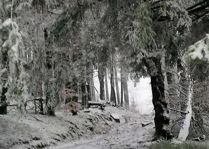 Kota Finlandais Dans La Vallee De La Bruche Proche De La Nature. Plaine
