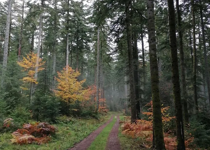 Horská chata Kota Finlandais Dans La Vallee De La Bruche Proche De La Nature. *