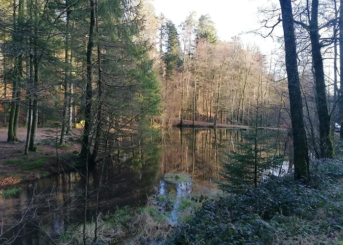 Kota Finlandais Dans La Vallee De La Bruche Proche De La Nature. Horská chata