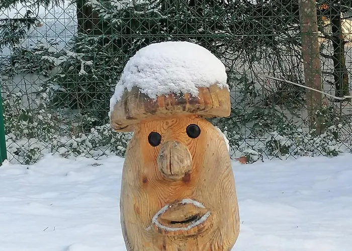 Kota Finlandais Dans La Vallee De La Bruche Proche De La Nature. Plaine