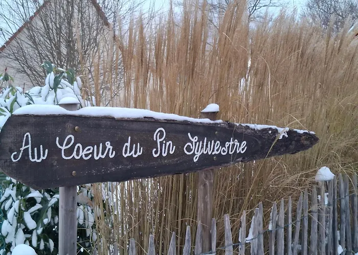 Kota Finlandais Dans La Vallee De La Bruche Proche De La Nature. * Plaine