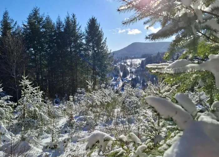 Kota Finlandais Dans La Vallee De La Bruche Proche De La Nature. *